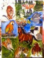 /album/fotogkaleri-theofotistes-zografies-me-meraki6/pinterest-panemorfa-zoa-toy-kosmoy-mas-jpg/